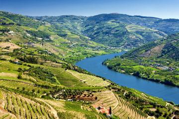 full-day-wine-tasting-tour-in-the-douro-valley-with-lunch-in-porto-193737.jpg