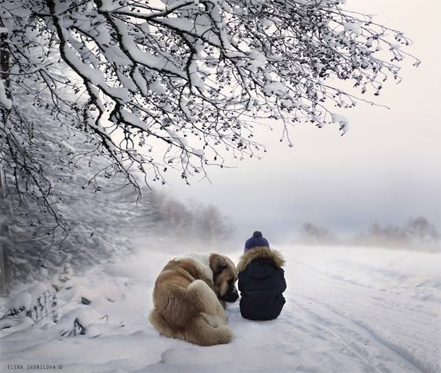 elena-shumilova-boy-and-dog-sitting-in-snow.jpg