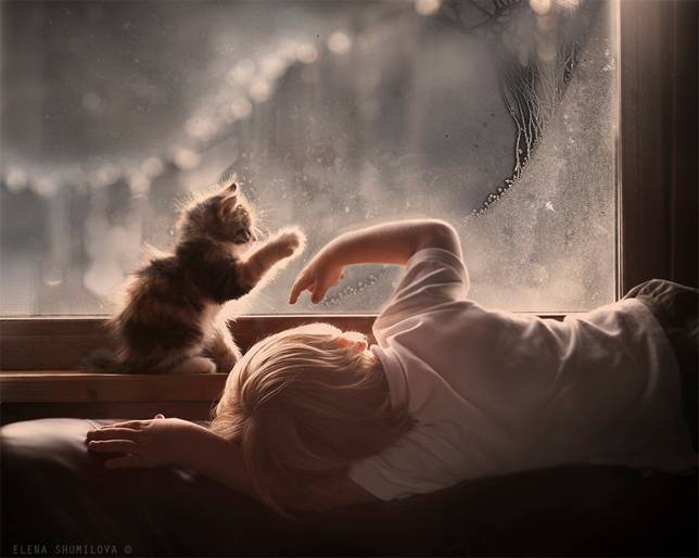 elena-shumilova-boy-kitten-window-frost.jpg