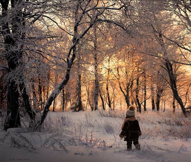 elena-shumilova-boy-snowy-forest.jpg