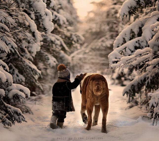 elena-shumilova-dog-and-boy-walking-through-snowy-trees.jpg