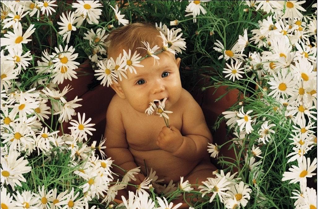 flower-baby.jpg
