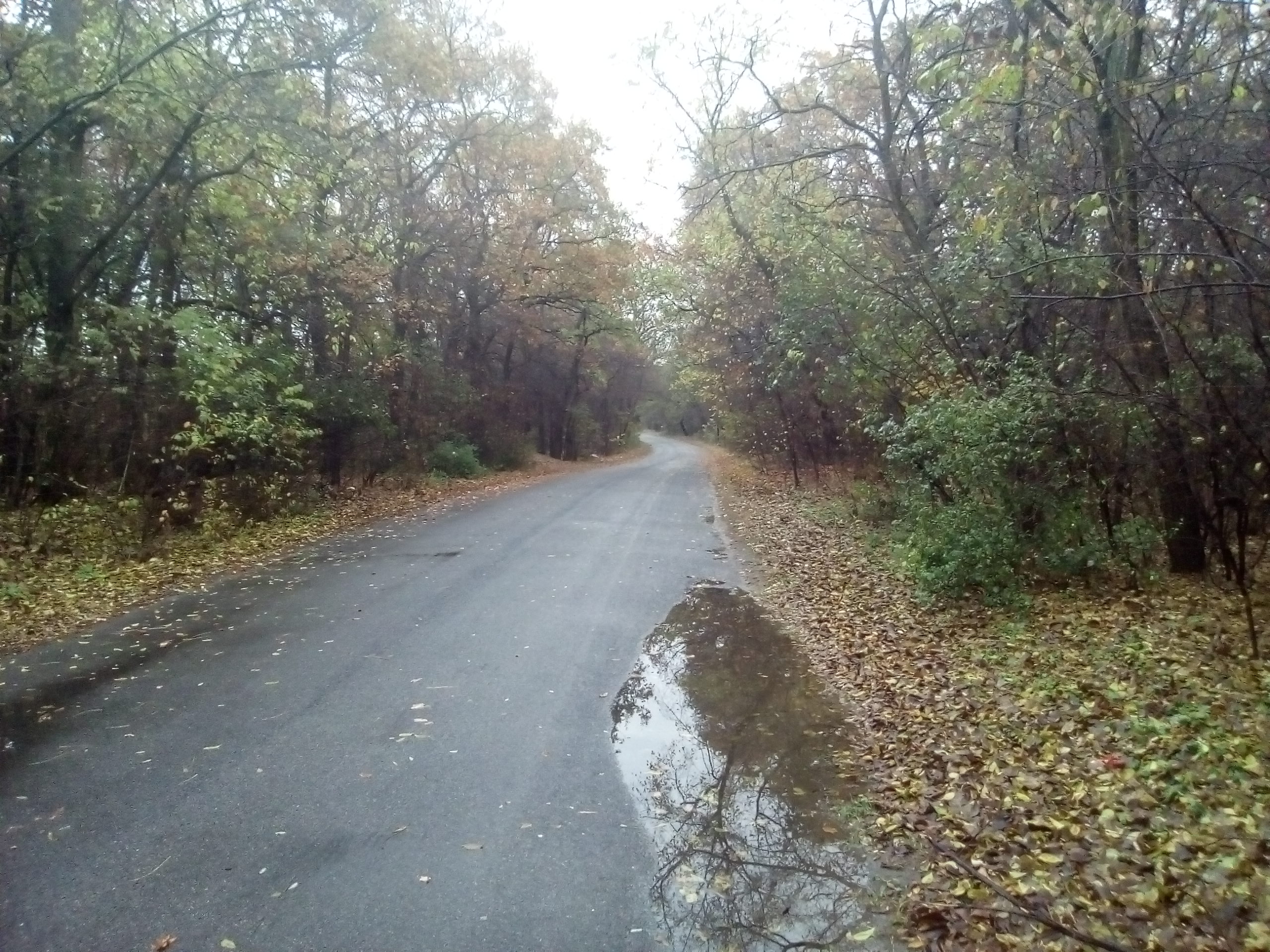 camerazoom-20161106073947450.jpg