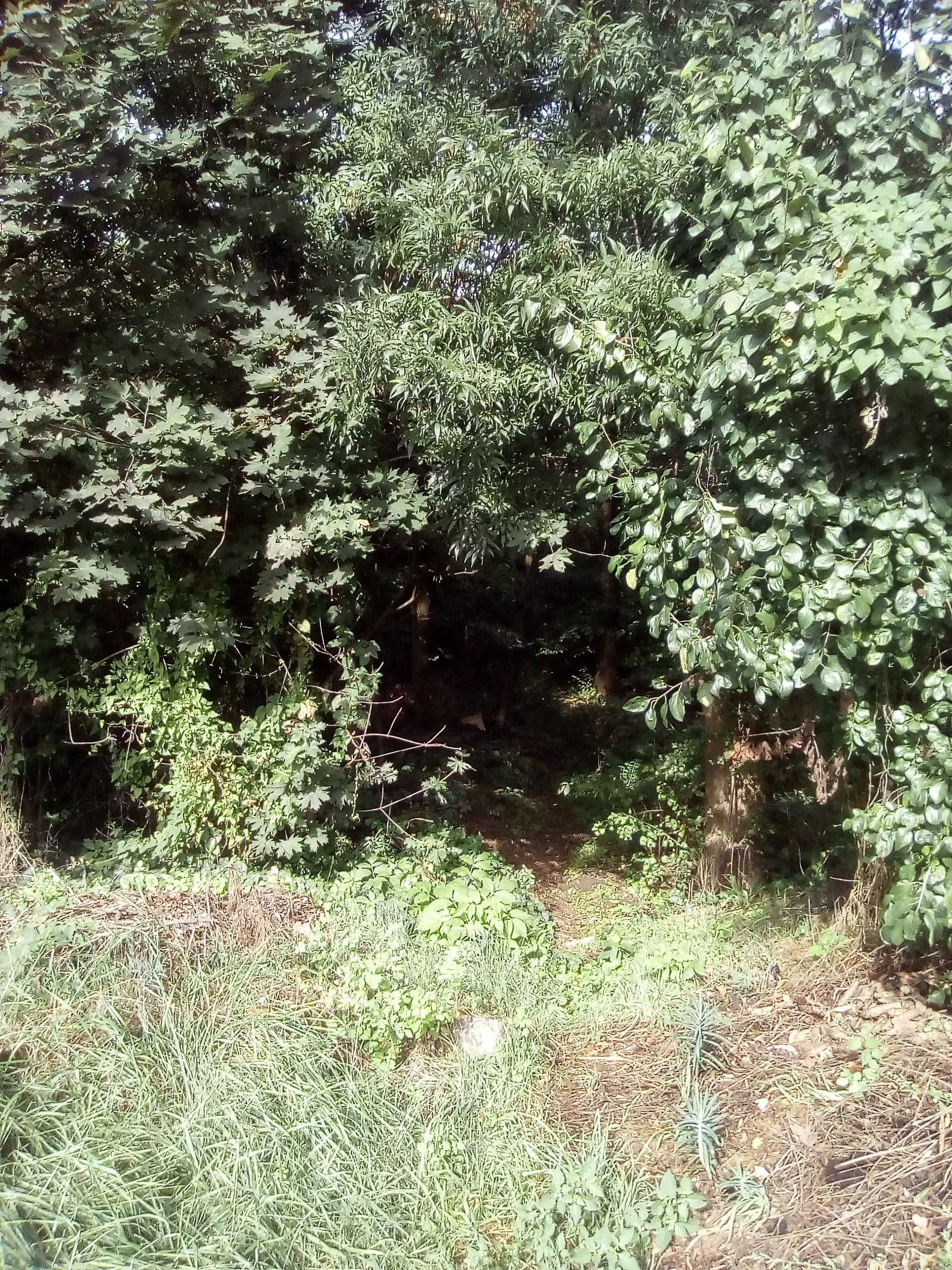 img_20160918_095327.jpg