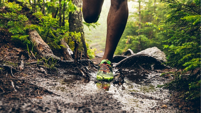 trail-1-1.jpg