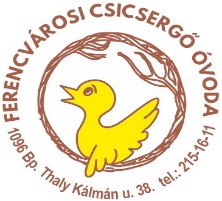 csicsergo_logo.jpg