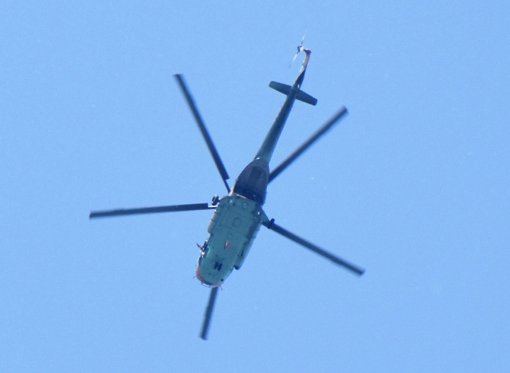 dsc_0603.JPG