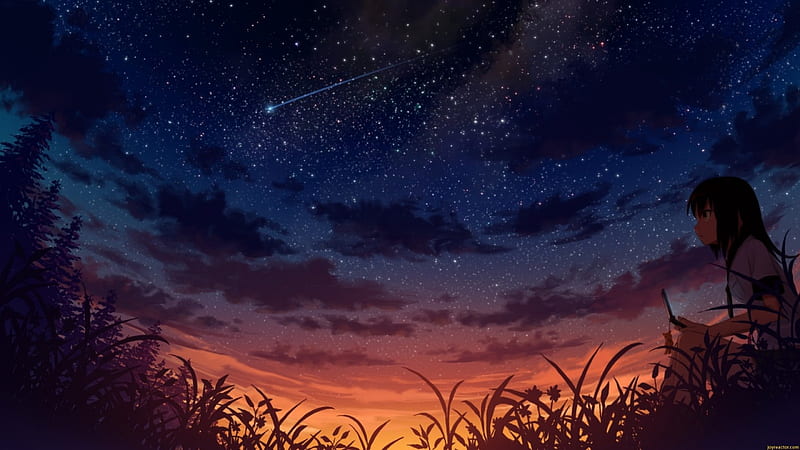 hd-wallpaper-shooting-stars-anime-sky-girl-shooting-star-art.jpg