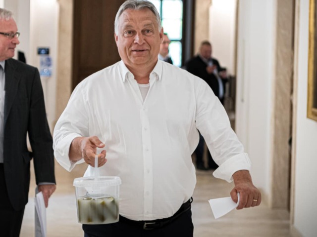 A magyar közélet 6 típushibája az uborkaszezonban