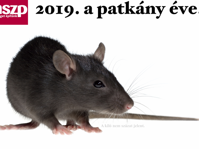 EP-kampány: MSZP, 2019 a patkány éve — "európai" ígéretcunami