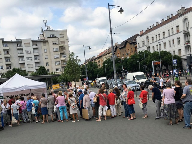 ELŐVÁLASZTÁS: nyugdíjasok döntenek Budapest jövőjéről?