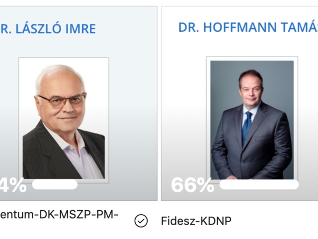 Hoffmann Tamás vagy László Imre? Szavazz ki legyen a polgármester a XI. kerületben!