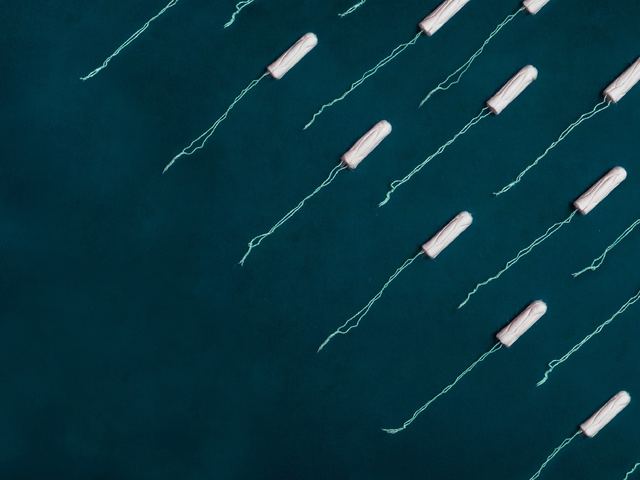 EP-kampány: a Momentum első számú prioritása a tamponáfa eltörlése