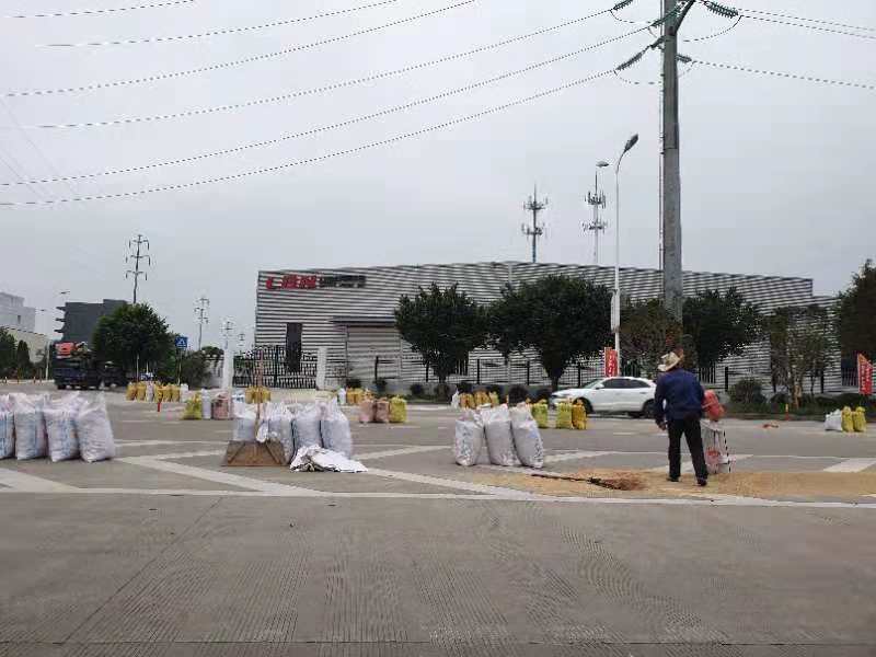 gabonaazuton.jpg