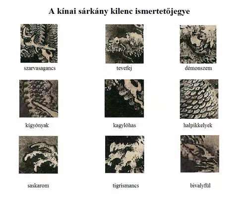 kilencsarkanyjellemzo.jpg