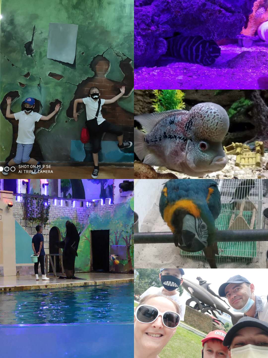 seaworld.jpg