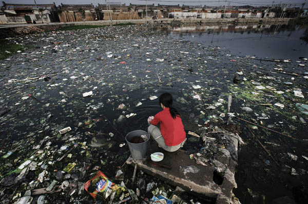 20091020luguang06-polluted-chinese-pond.jpg