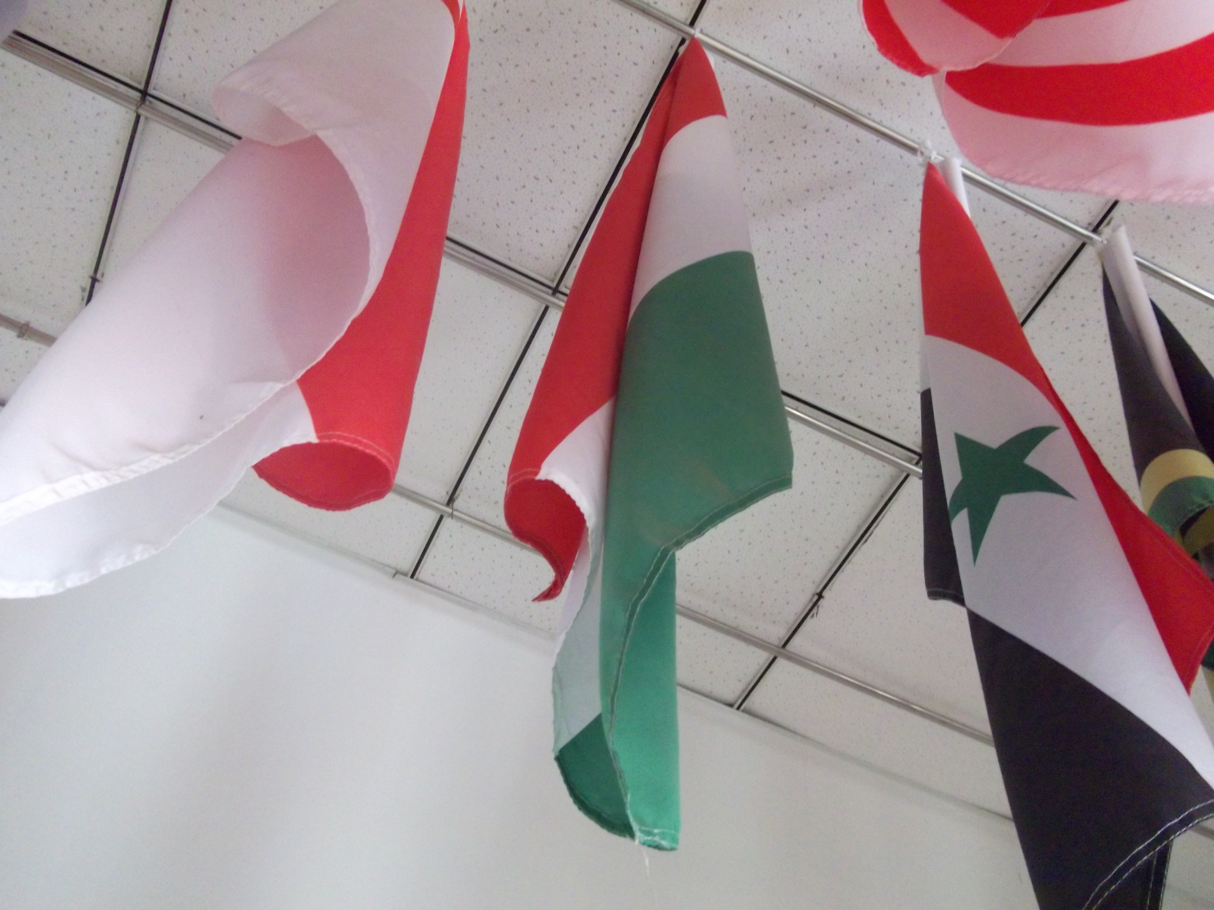 Magyar zászló az aulában (Hungarian flag in the lobby room)