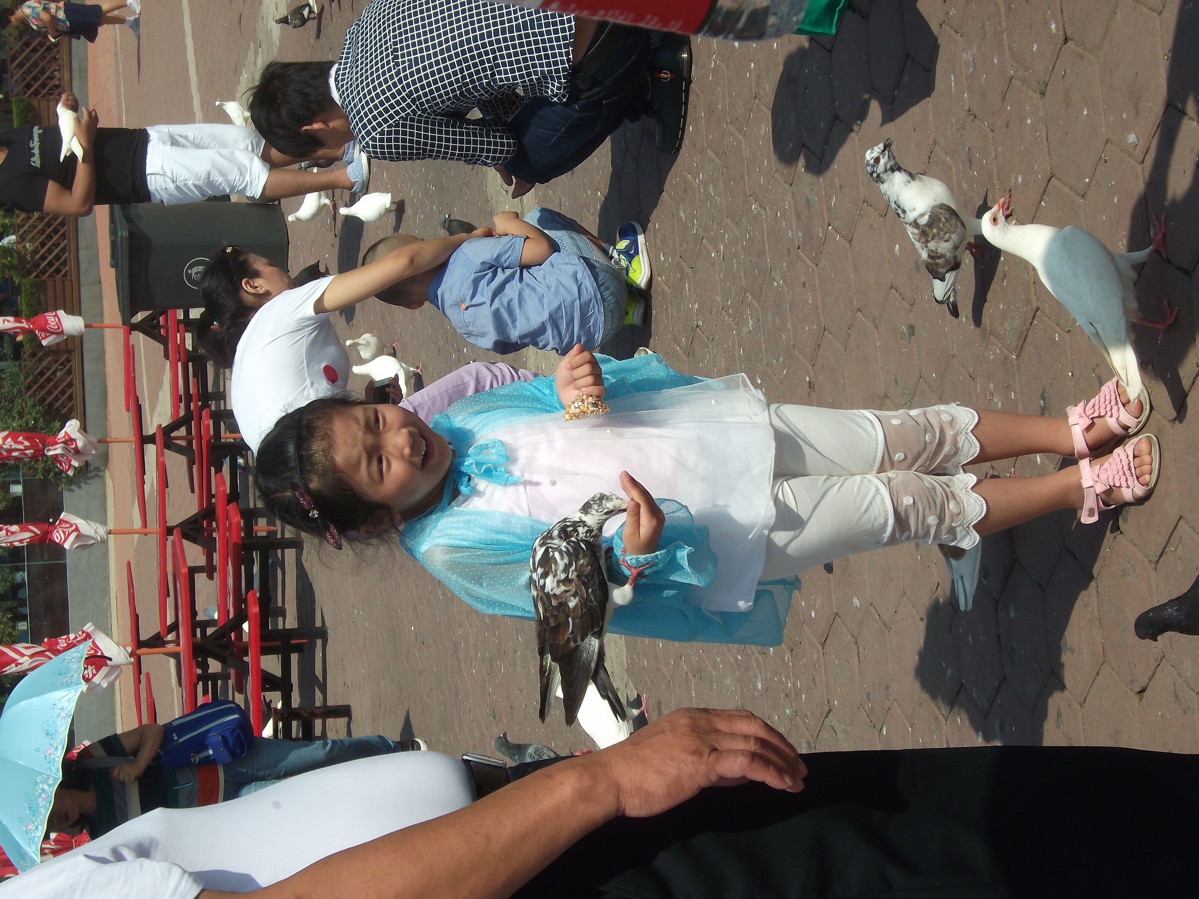 Kislány galambokkal a Xinghai téren (Little girl with pigeons on the Xinghai square)