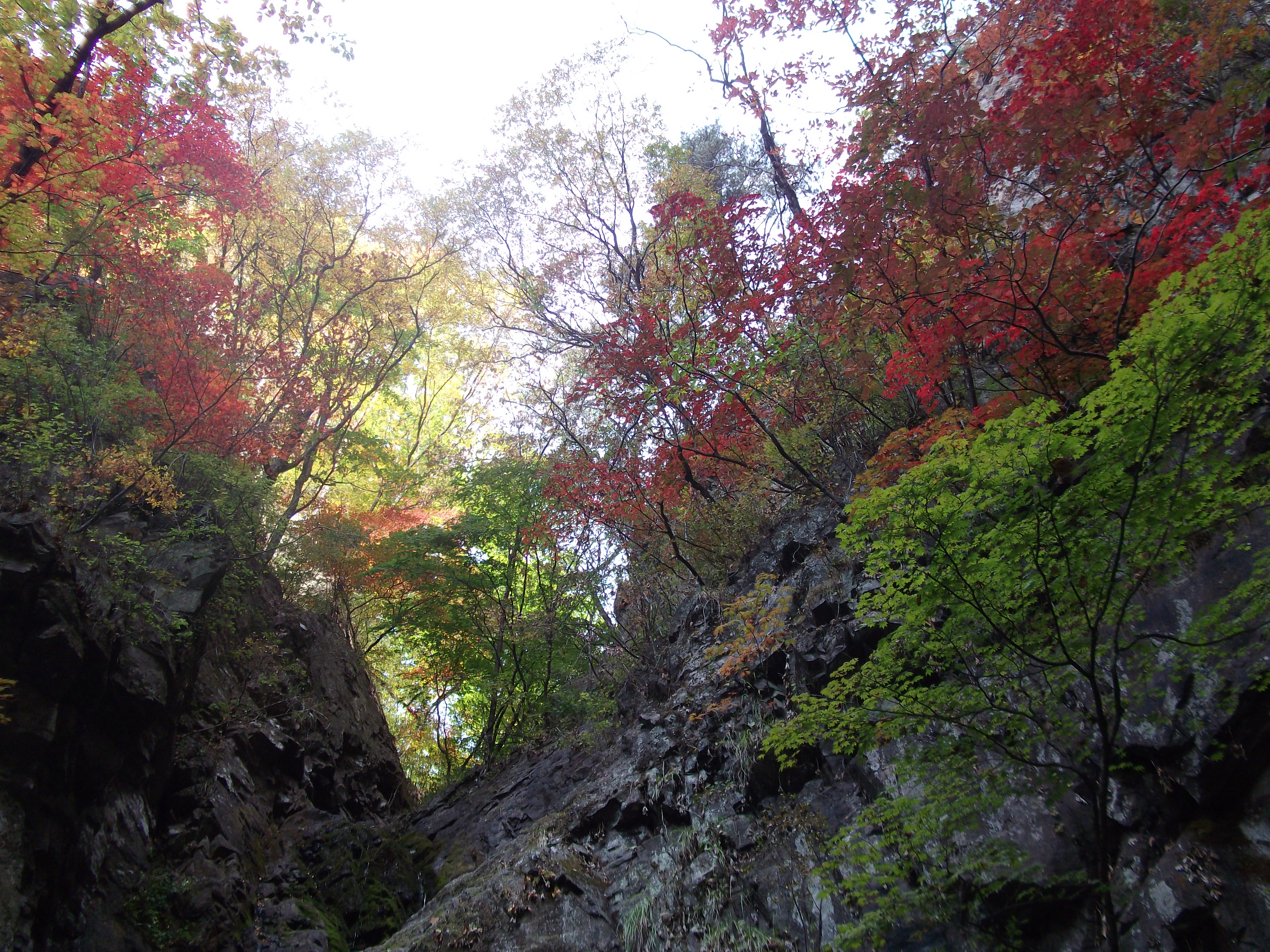 Csodálatos természet (Wonderful nature)