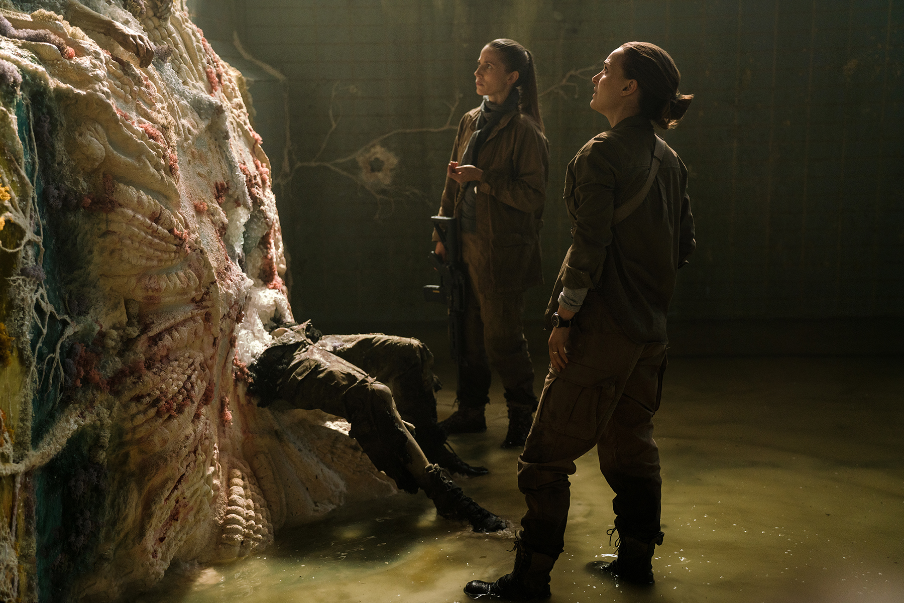 annihilation-stills-natalie-portman-41397242-1800-1201.jpg