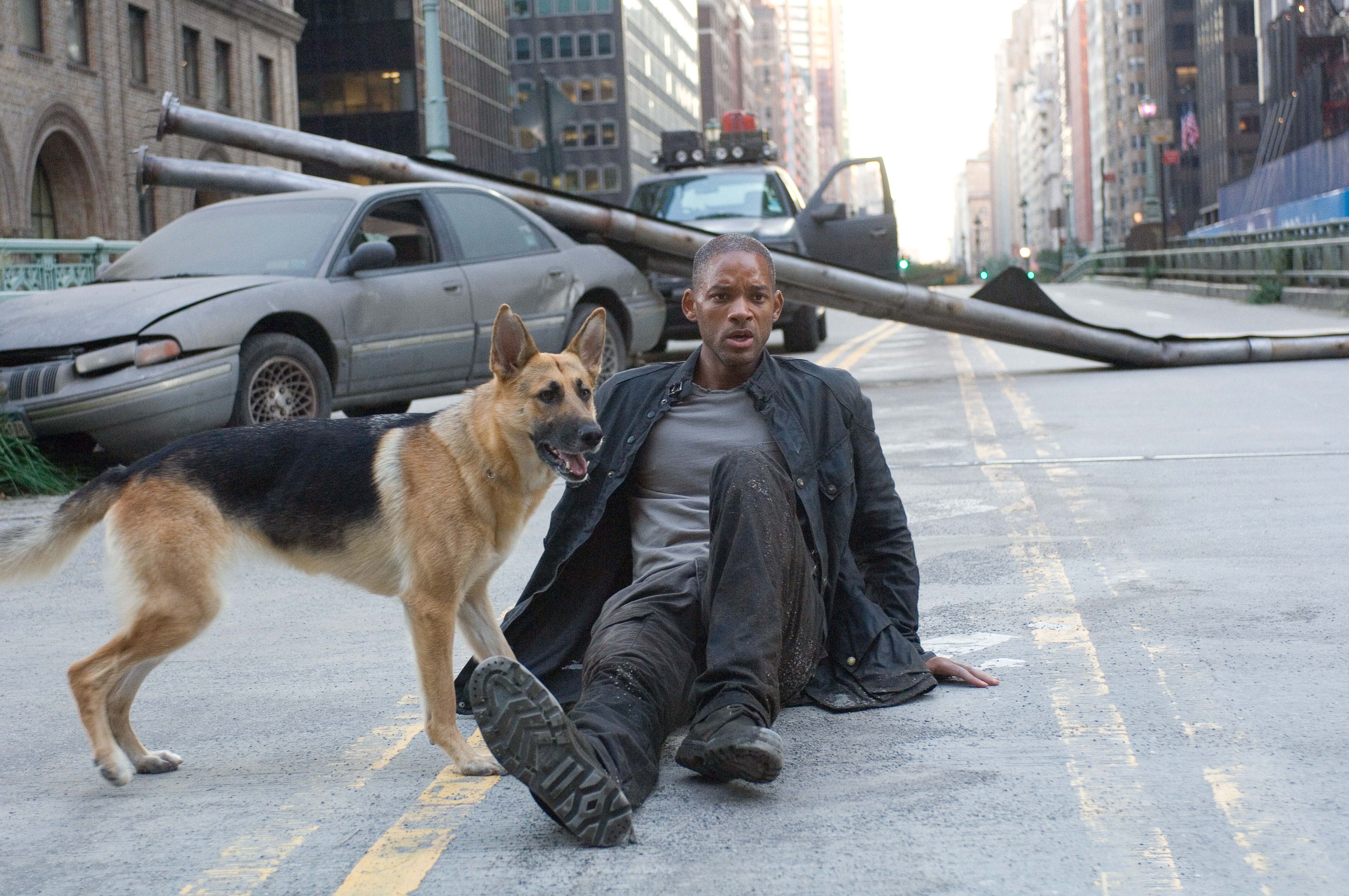 i-am-legend-movie-image-will-smith.jpg