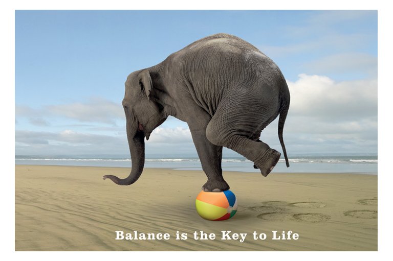 elephant-balance-chiropractic.jpg