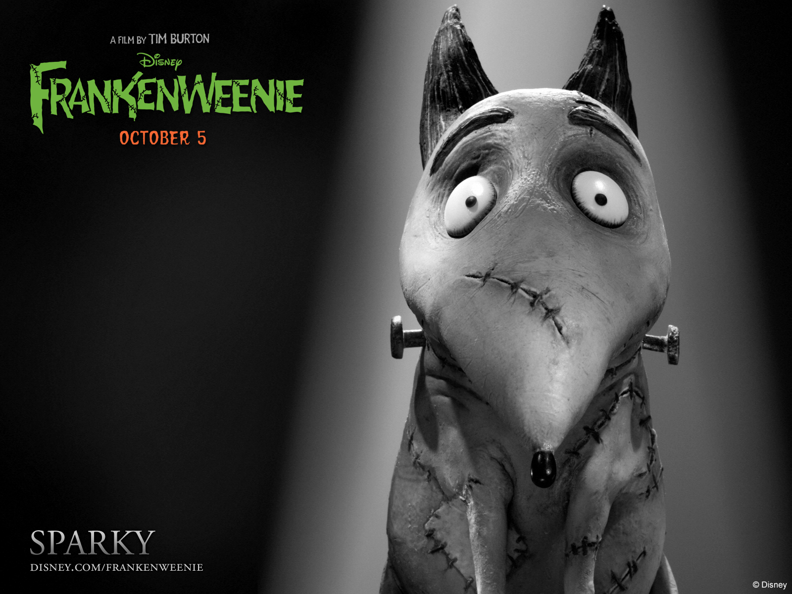 Frankenweenie_Exclusive_Character_Debuts_Meet_Victor_And_Sparky_1340122165.jpg