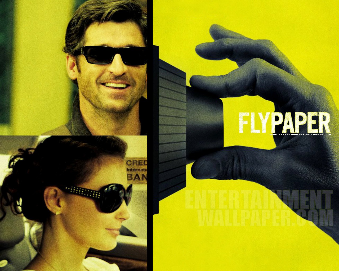 flypaper01.jpg