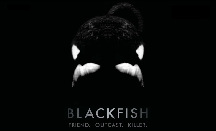 blackfish 1.jpg