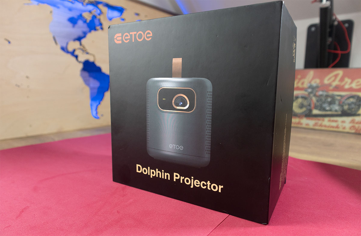 etoe-dolphin-7.jpg