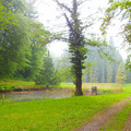 A zalai táj zanzásítva - Csácsbozsoki-arborétum