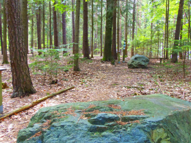 Energetizáló szerpentin-sziklák a fenyőerdőben - Bernstein