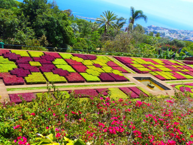 Botanikus kert az örök tavasz szigetén - Madeira