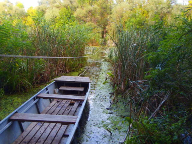 Három próba a mesés tanösvényen - Tisza-tó