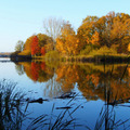 Arborétum a tóban - Desedai arborétum, Kaposvár