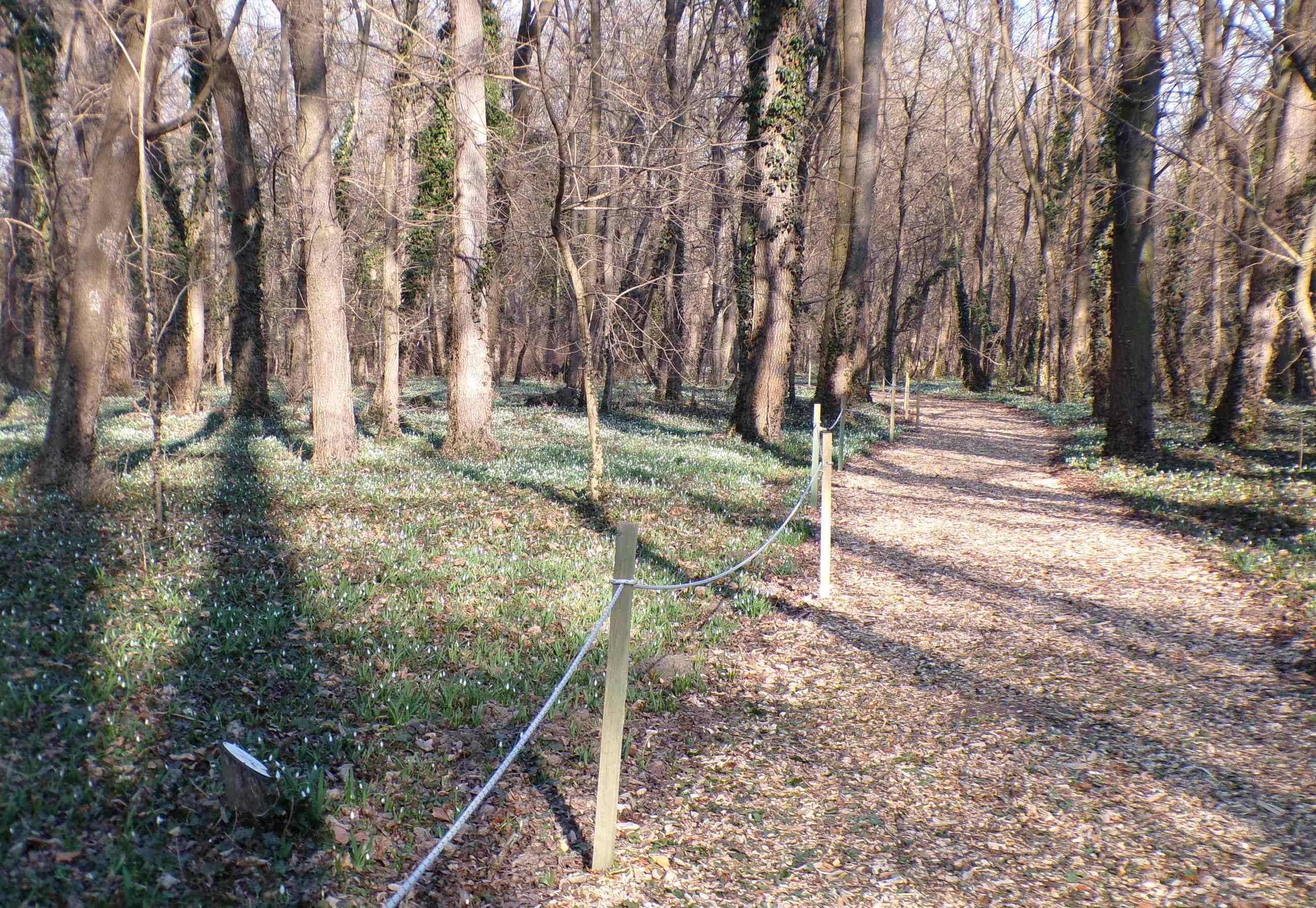 114_6812.JPG