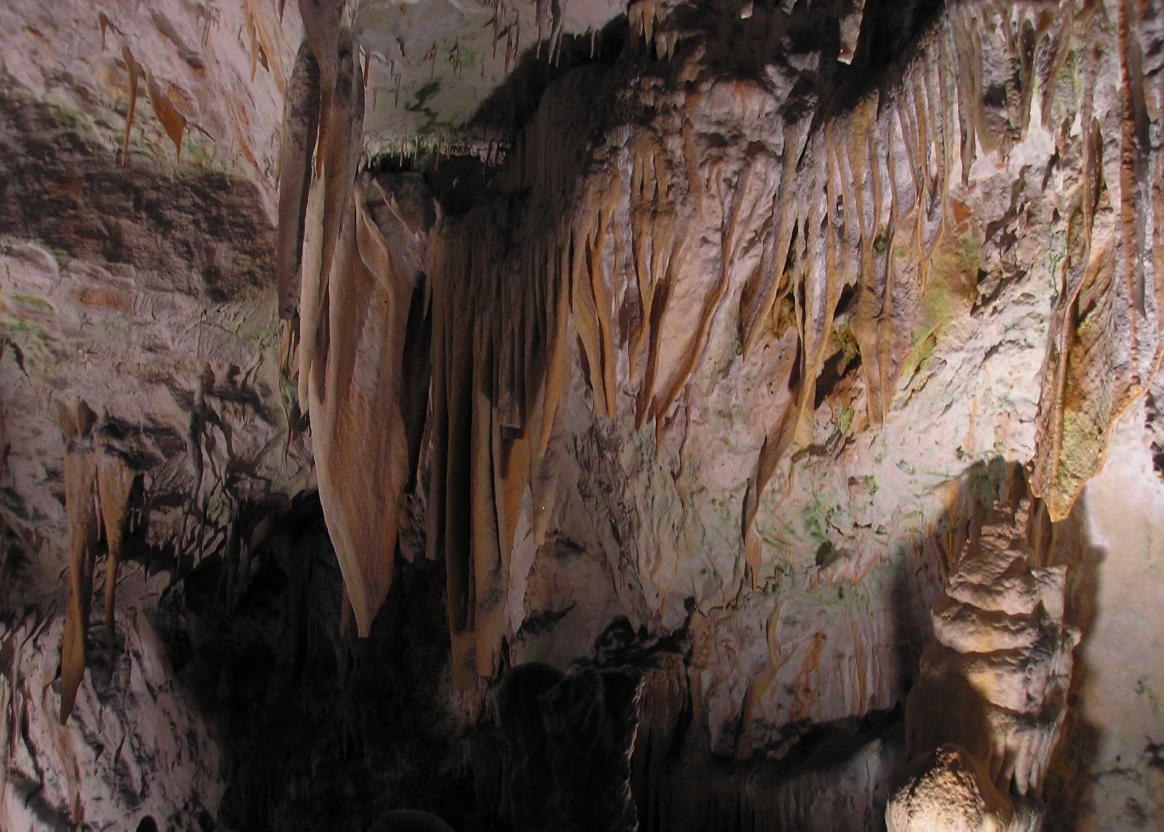 p1010151.JPG