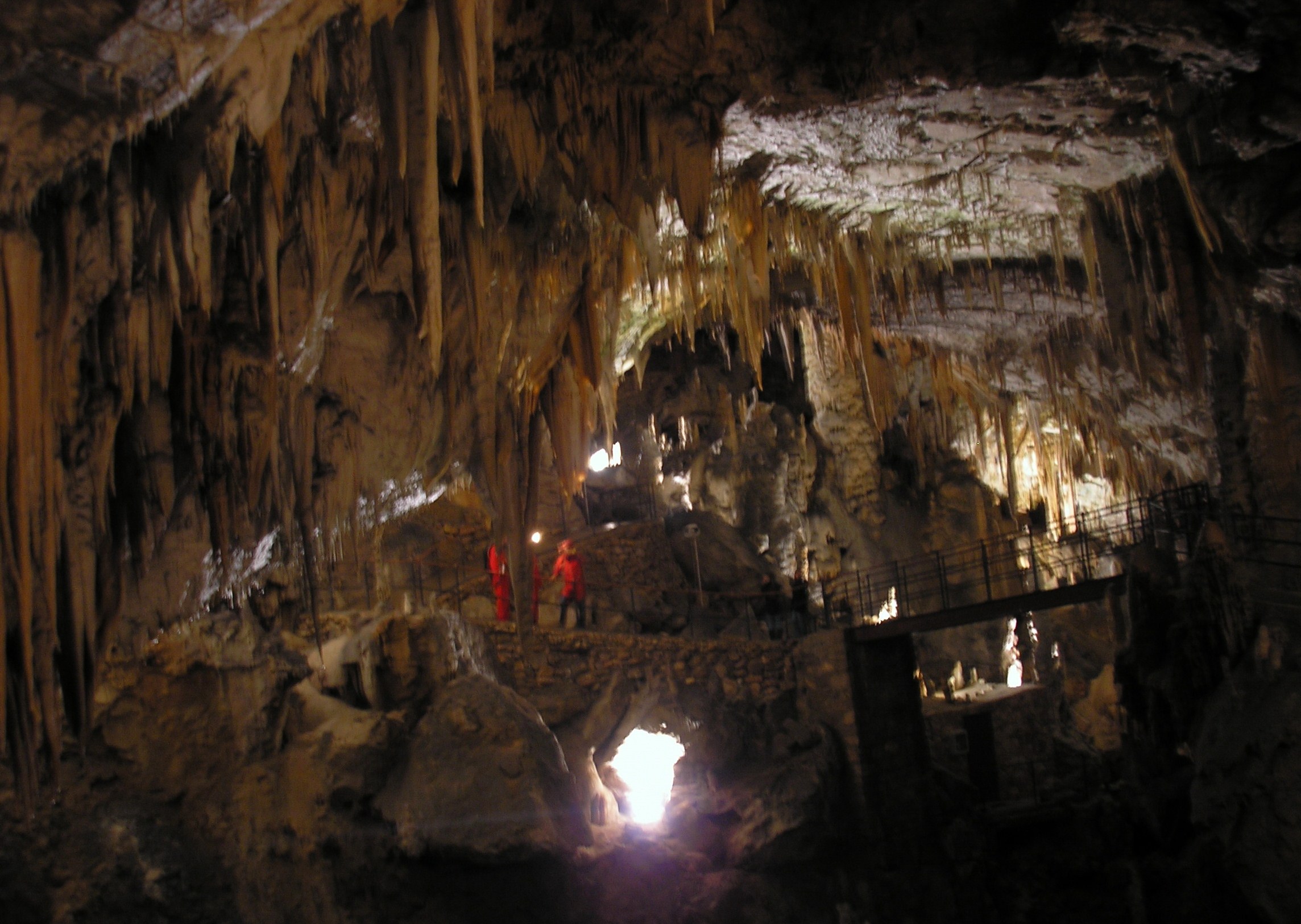 p1010157.JPG