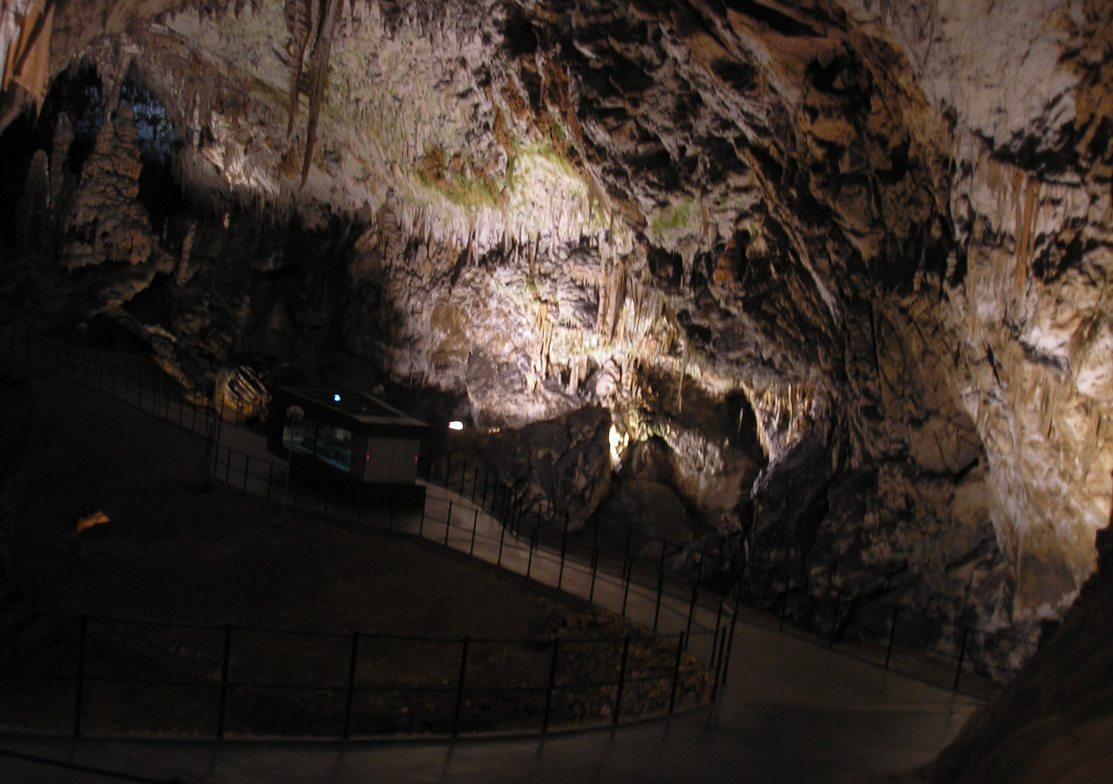 p1010217_1.JPG