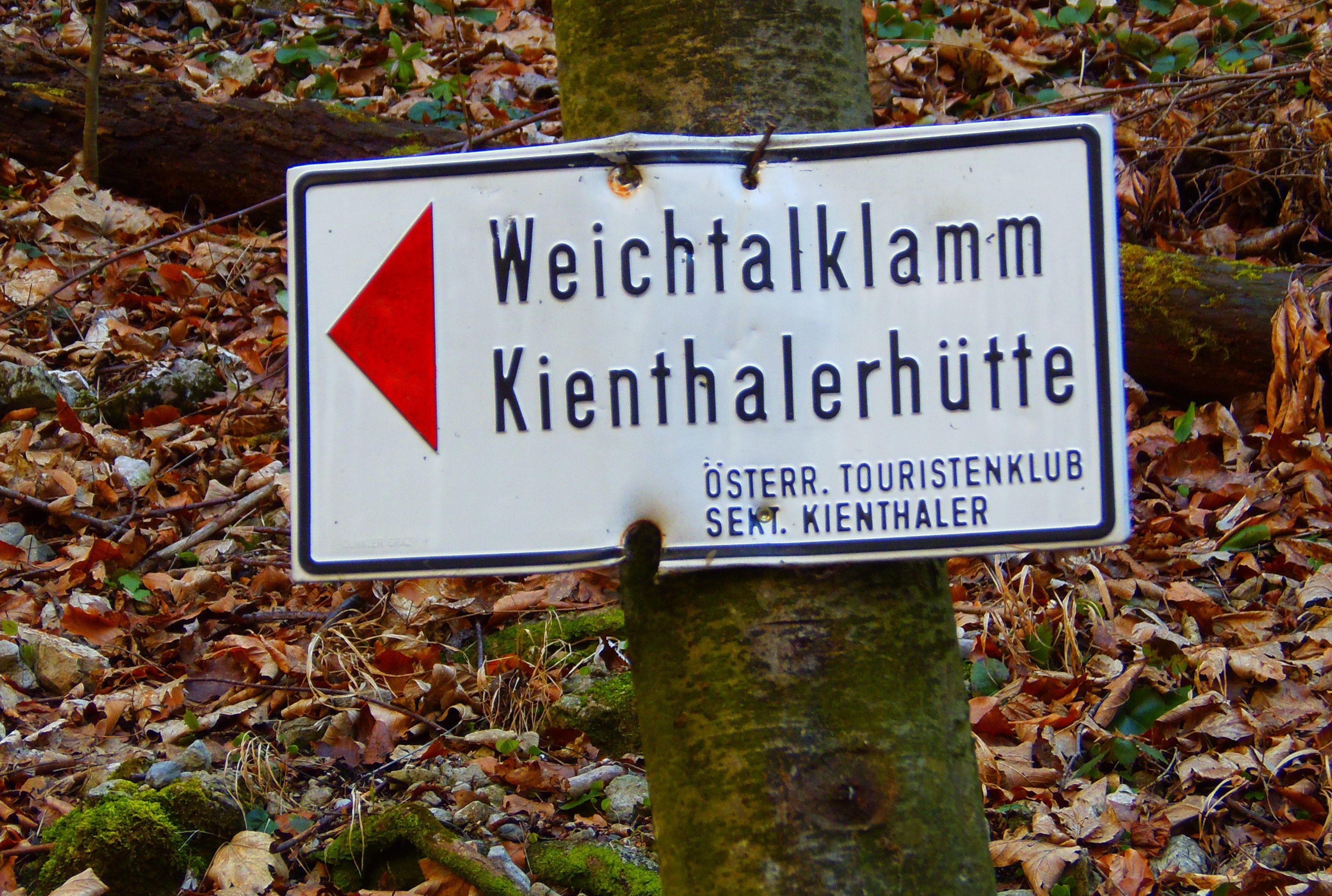 p2276754.JPG