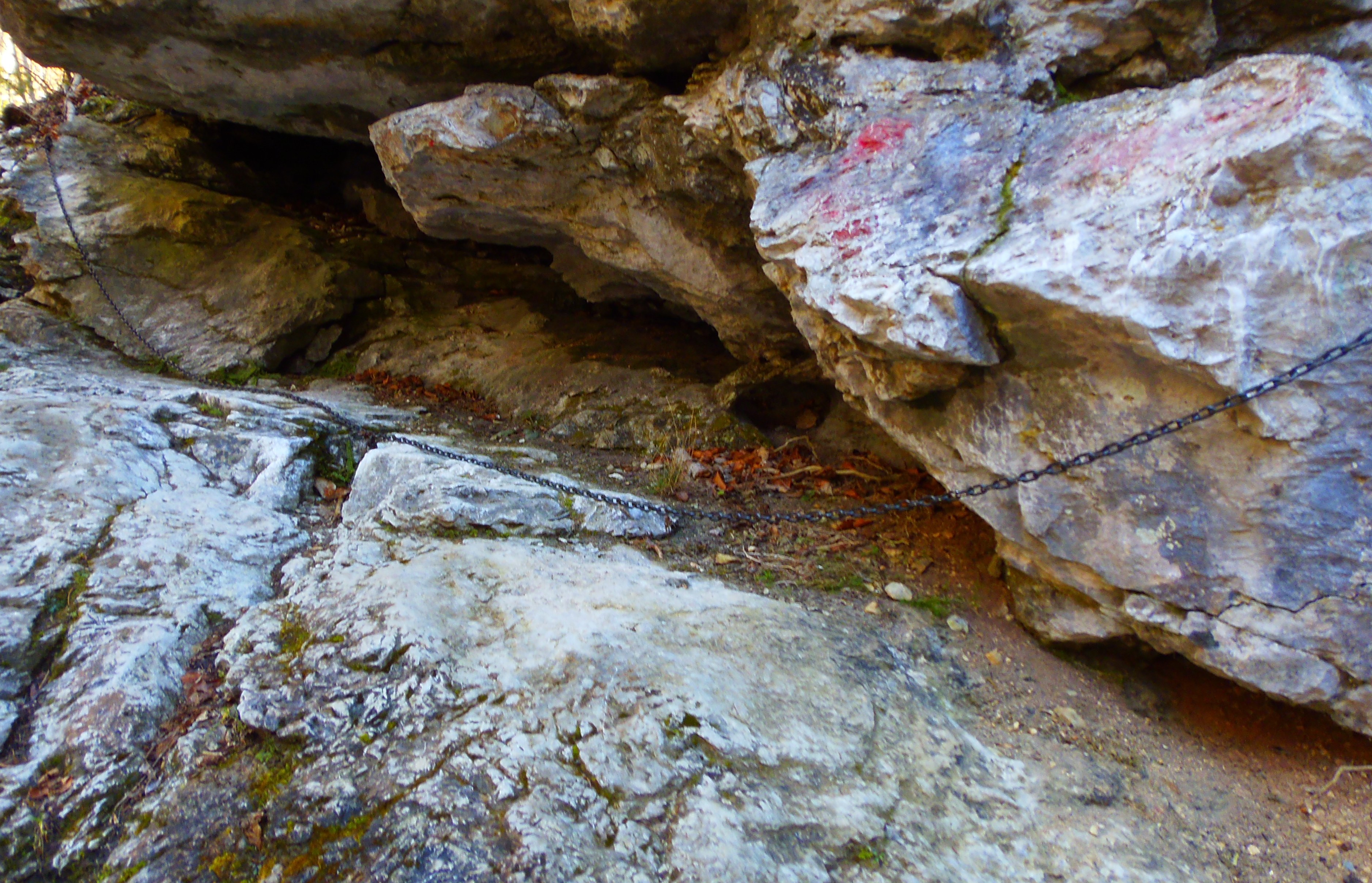 p2276757.JPG