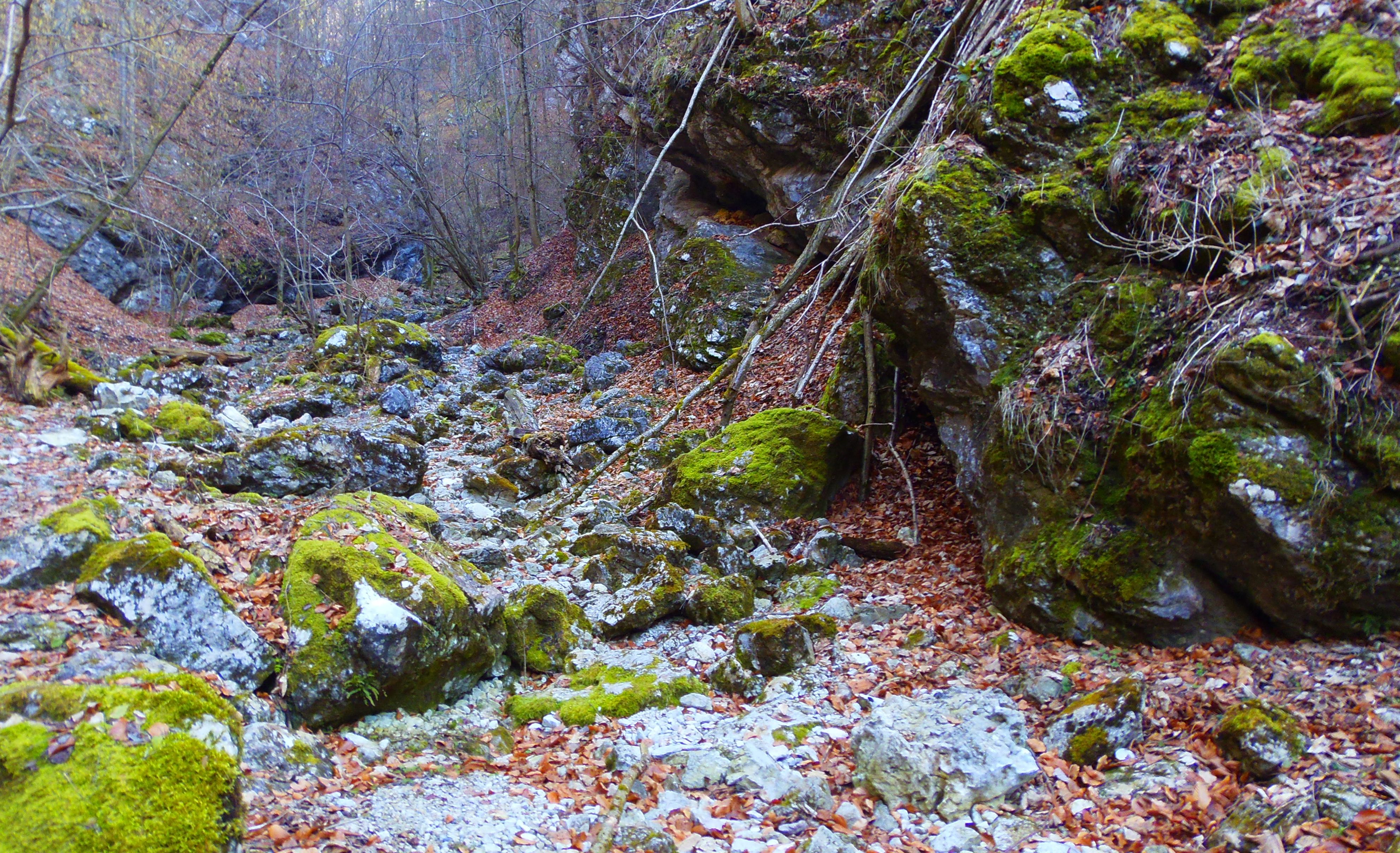 p2276761.JPG