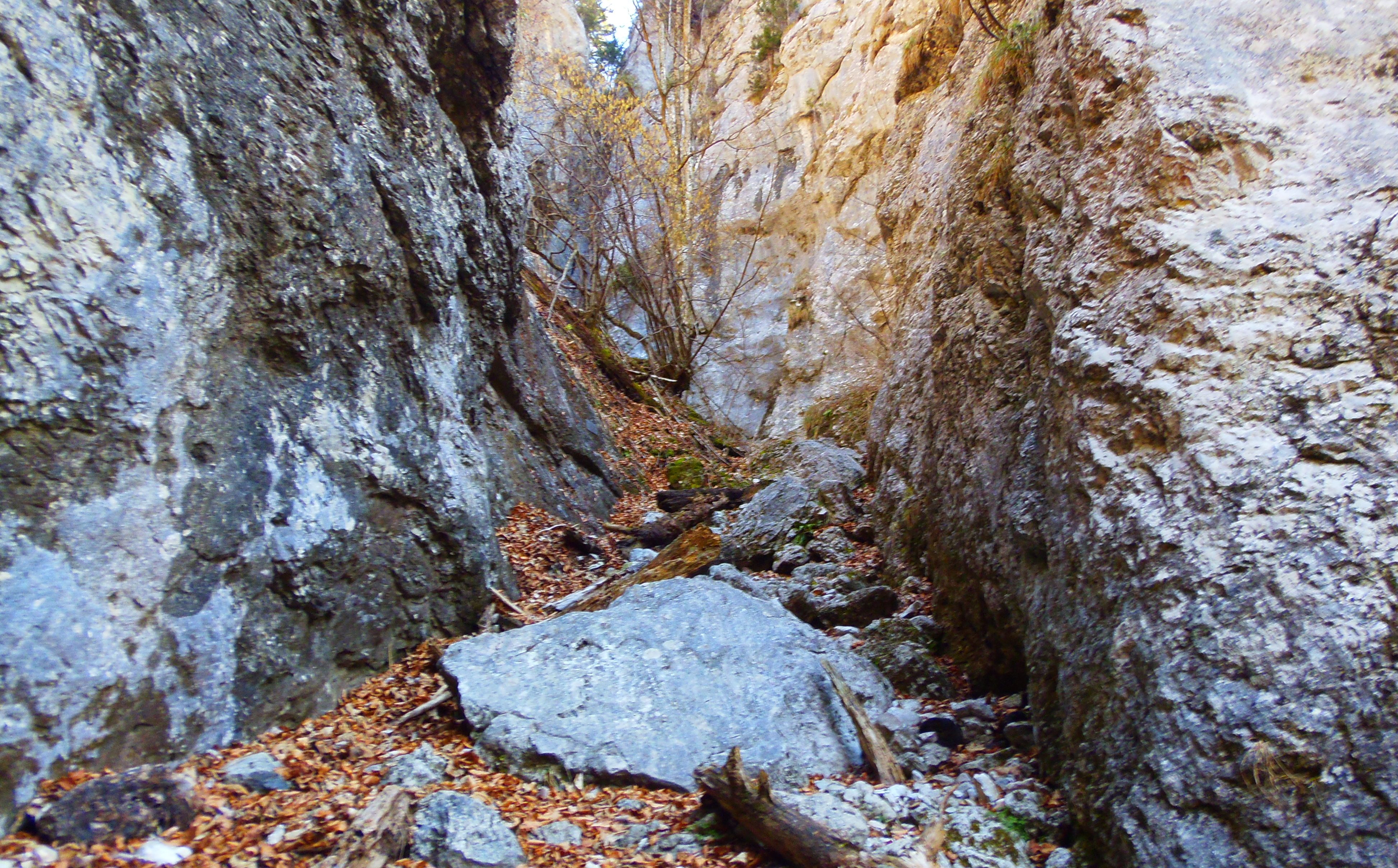 p2276772.JPG