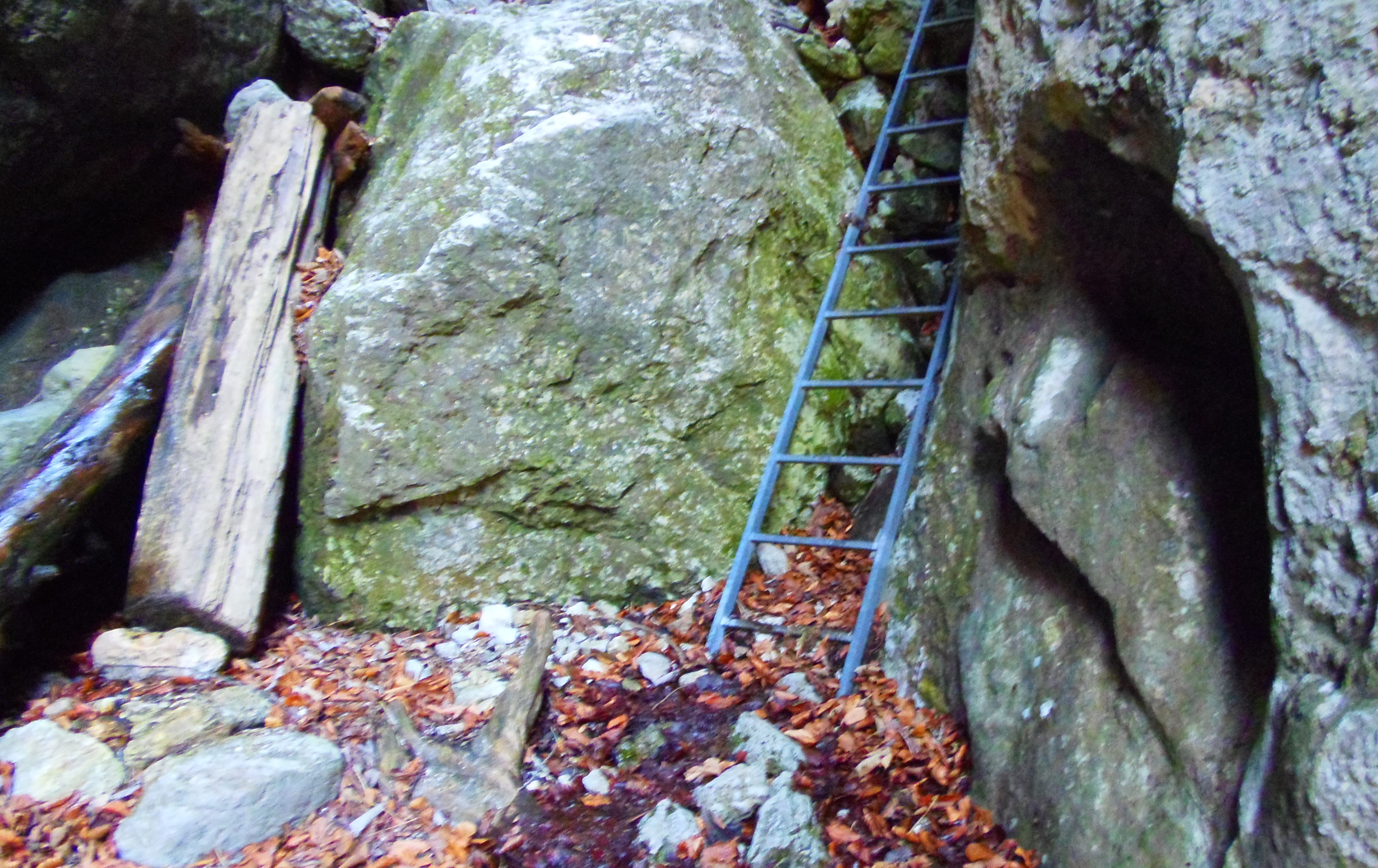 p2276774.JPG