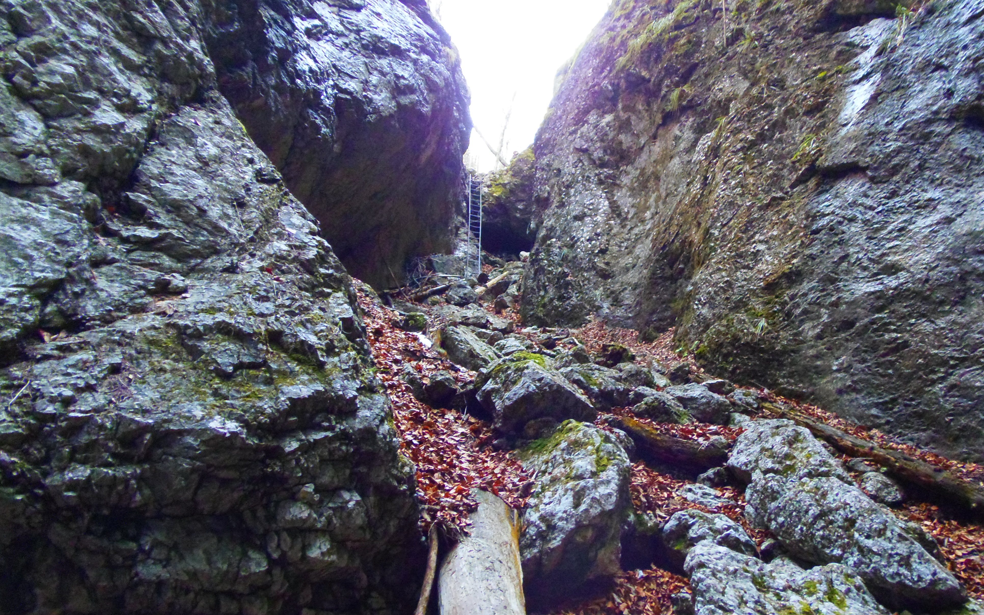 p2276783.JPG