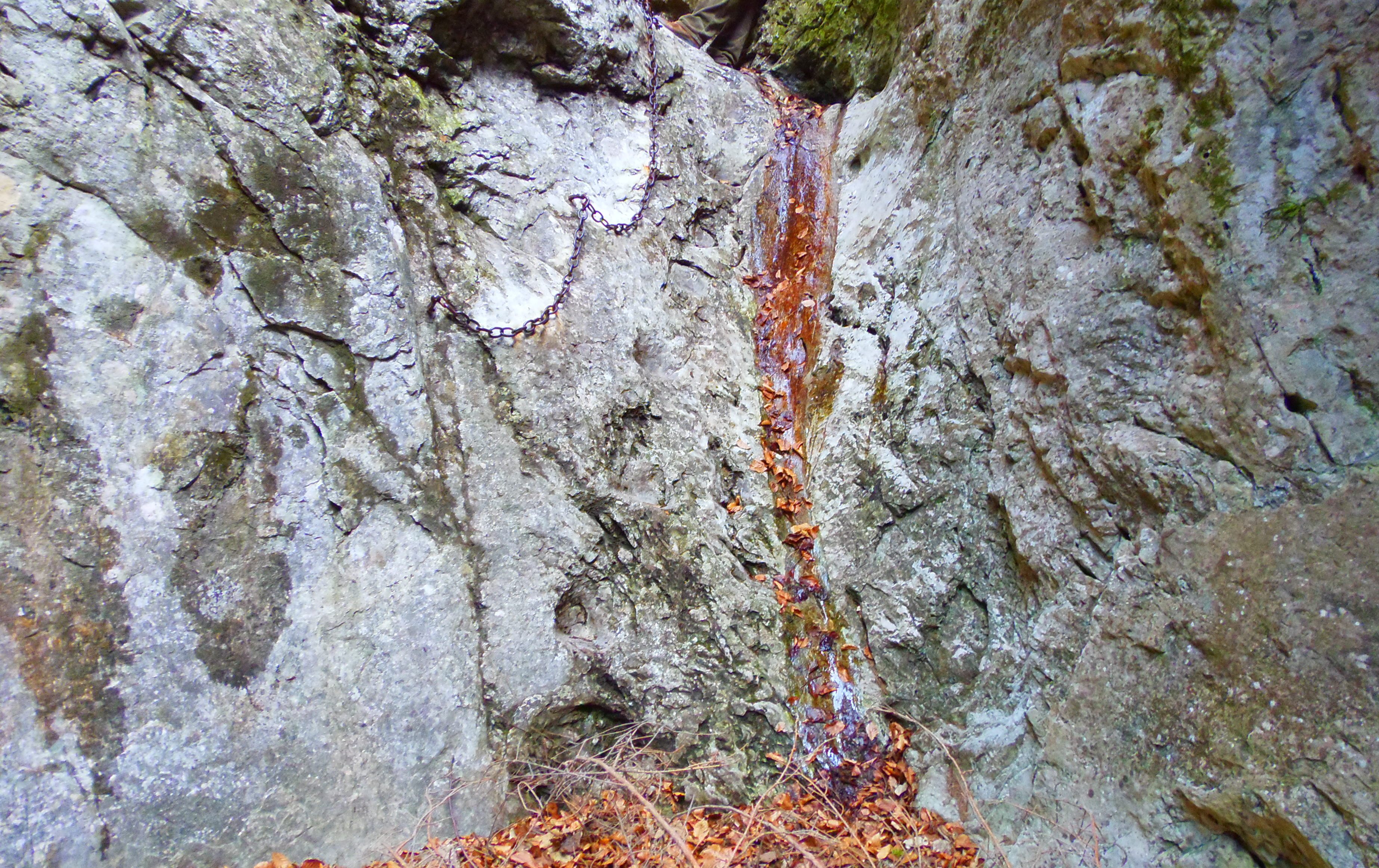 p2276786.JPG