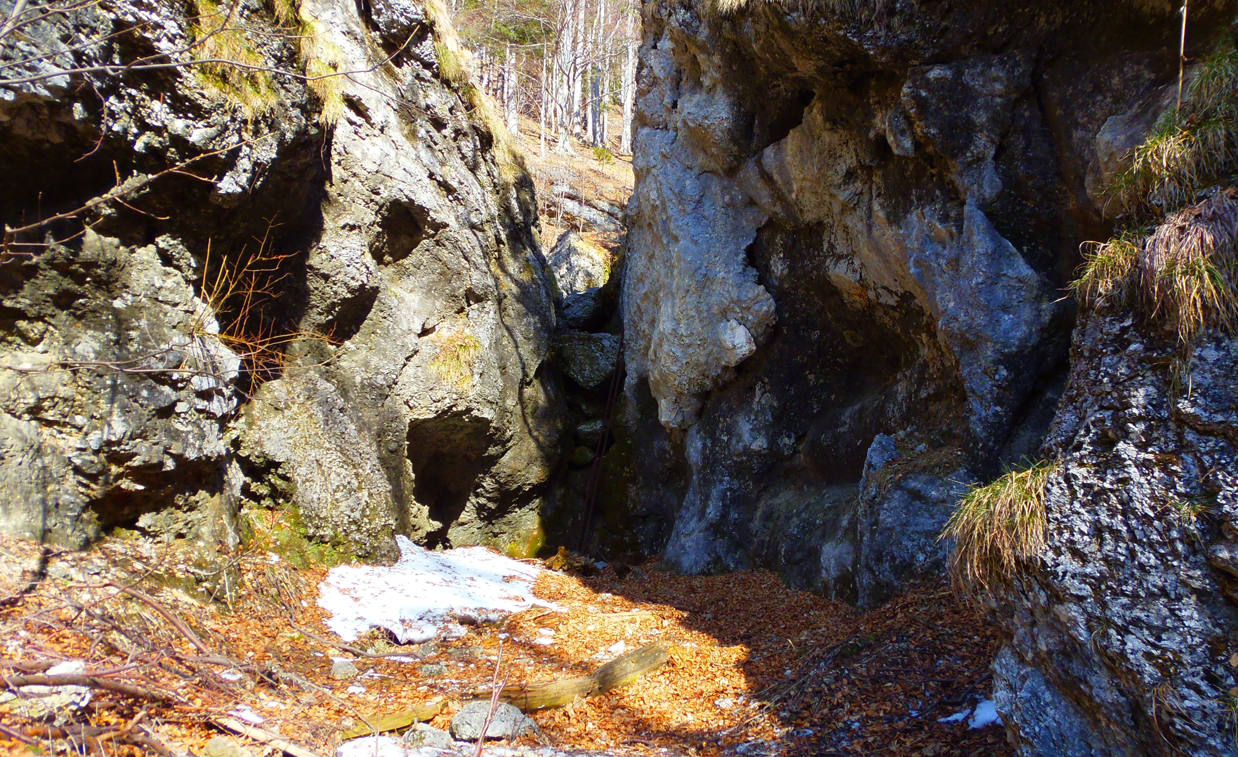 p2276788.JPG