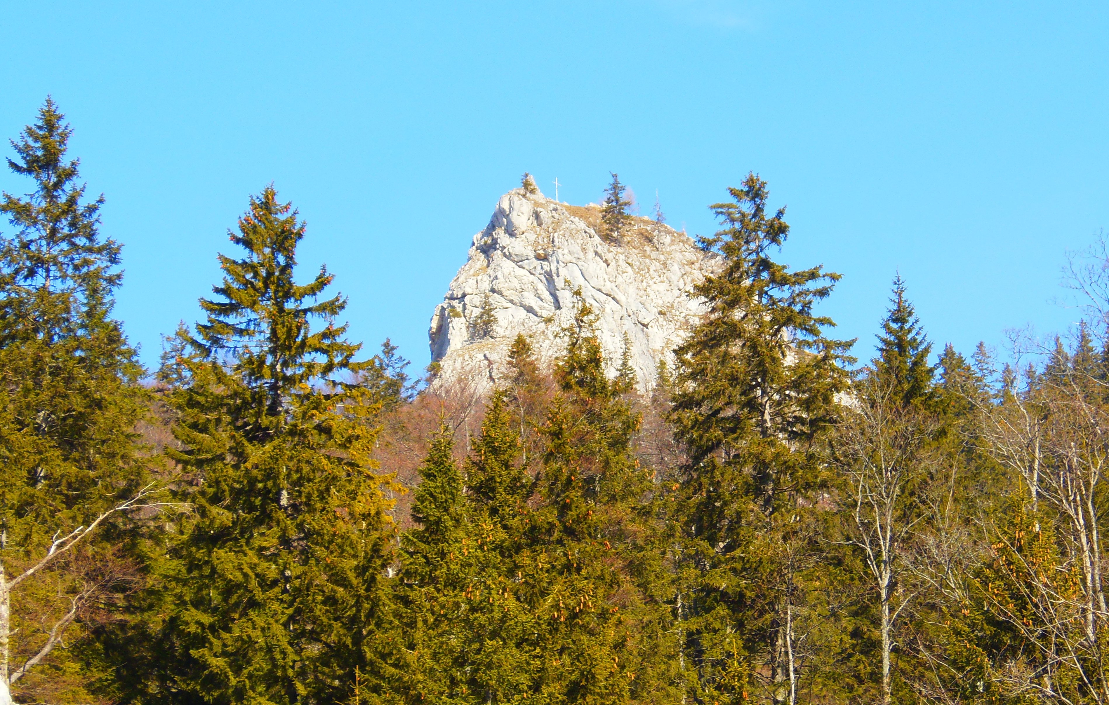 p2276804.JPG