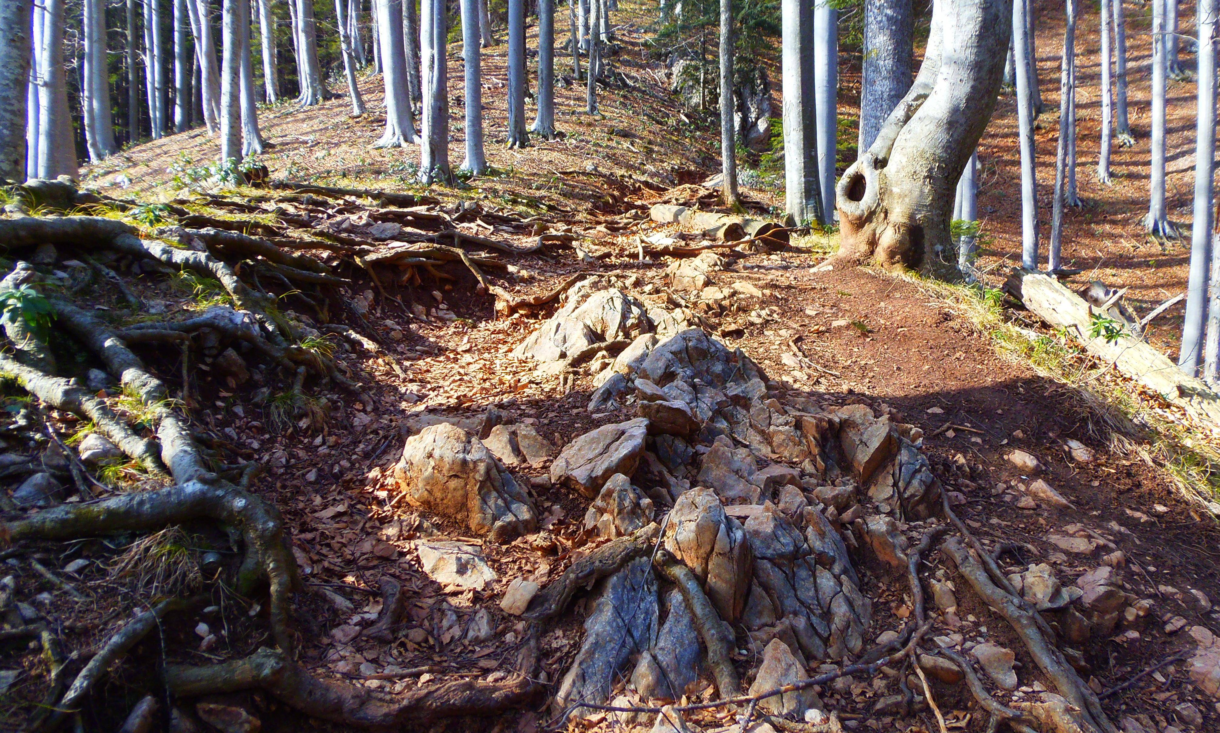 p2276810.JPG
